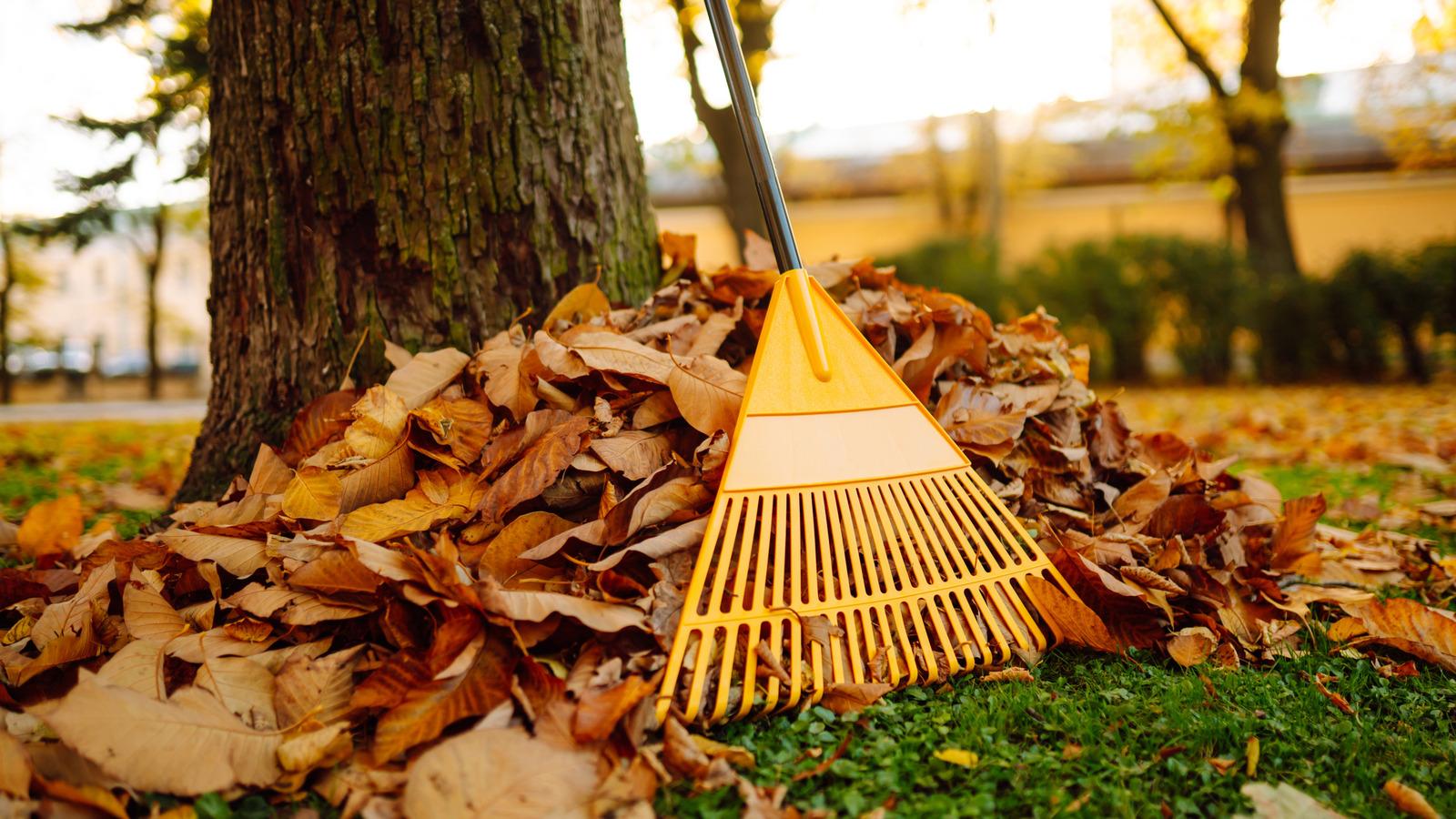 Laubharke vor einem zusammengetragenen Laubhaufen im Garten